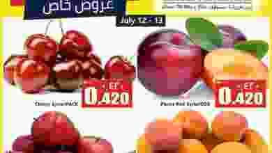 el3rod.com00001-236