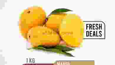 el3rod.com00001-252