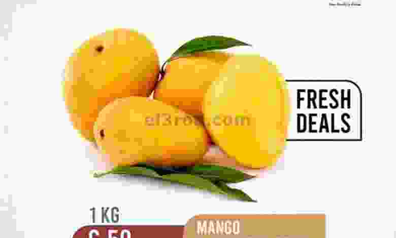 el3rod.com00001-252