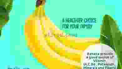 el3rod.com00001-258