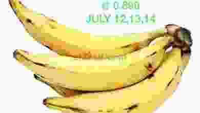 el3rod.com00001-264