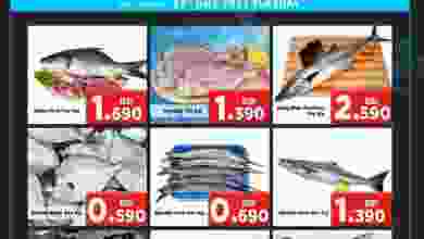 el3rod.com00001-310