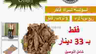 el3rod.com00001-319