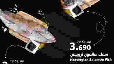 el3rod.com00001-376
