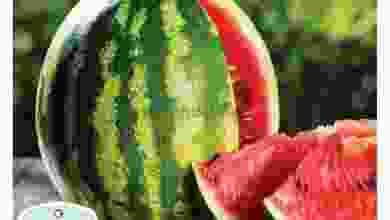 el3rod.com00001-440
