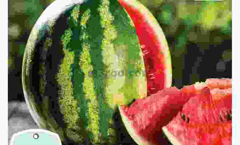 el3rod.com00001-440