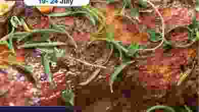 el3rod.com00001-513