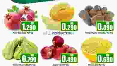 el3rod.com00001-643