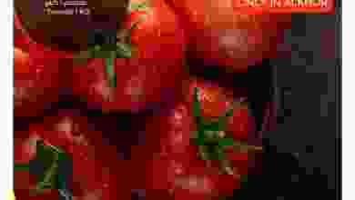 el3rod.com00001-671