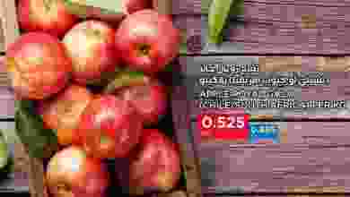 el3rod.com00001-708