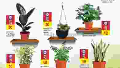 عروض سفاري الامارات الاربعاء 28-7-2021 el3rod.com00001-755