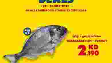el3rod.com00001-796