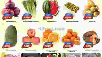 el3rod.com00001-802