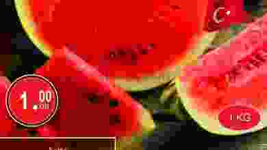 el3rod.com00002-596