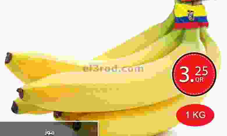 el3rod.com00003-519