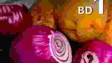 el3rod.com00003-628