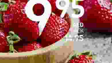 el3rod.com00004-355