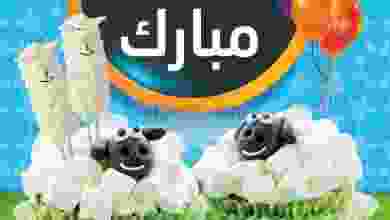 el3rod.com00018-131