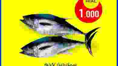 el3rod.com00001-1033
