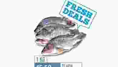 el3rod.com00001-105