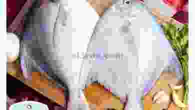 el3rod.com00001-1162
