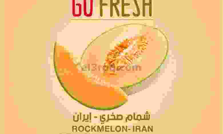 el3rod.com00001-1167