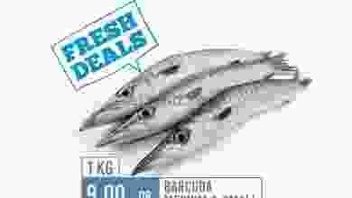 el3rod.com00001-148