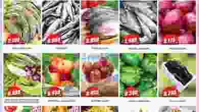 el3rod.com00001-178