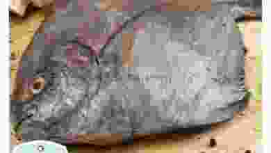 el3rod.com00001-206