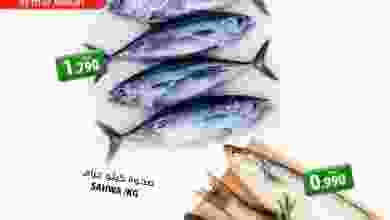 el3rod.com00001-212