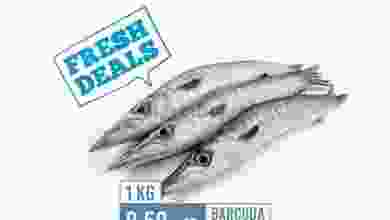 el3rod.com00001-242