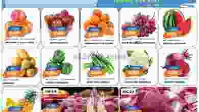 el3rod.com00001-271