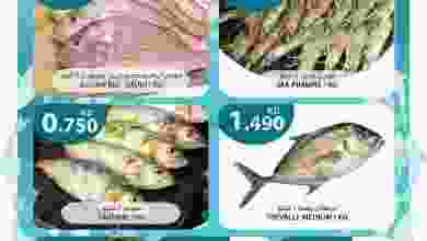 el3rod.com00001-311