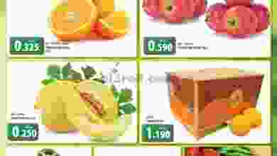 el3rod.com00001-324