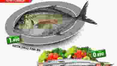 el3rod.com00001-366