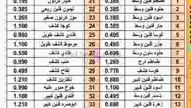 عروض جمعية القيروان التعاونية الثلاثاء 10-8-2021 el3rod.com00001-379