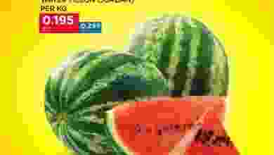 el3rod.com00001-46