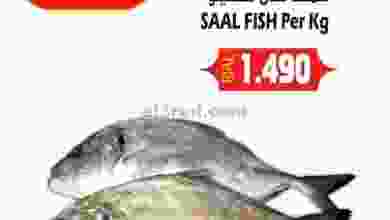 el3rod.com00001-489