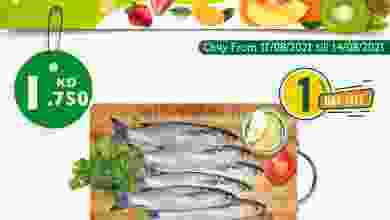 el3rod.com00001-501