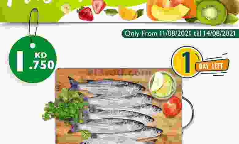 el3rod.com00001-501