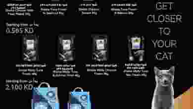 el3rod.com00001-523