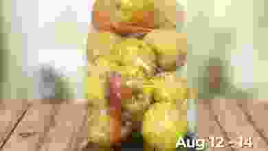 el3rod.com00001-542