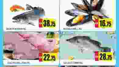 el3rod.com00001-547