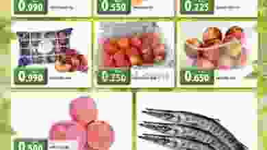 el3rod.com00001-559