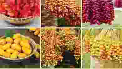 el3rod.com00001-58