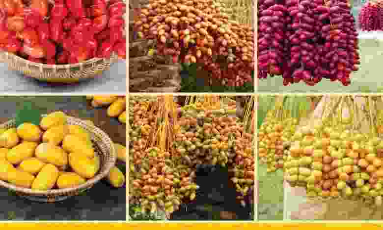 عروض لولو قطر 2 حتى 8-8-2021 اسبوع الرطب el3rod.com00001-58