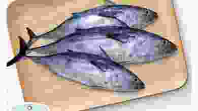 el3rod.com00001-588
