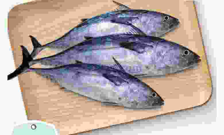 el3rod.com00001-588