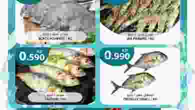 el3rod.com00001-595