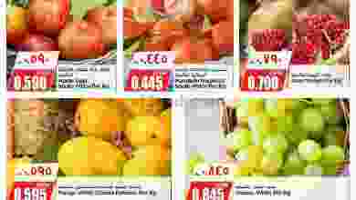 el3rod.com00001-596